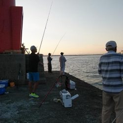 播磨新島３連投