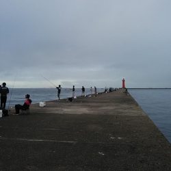 良型キスのアタリを楽しめました