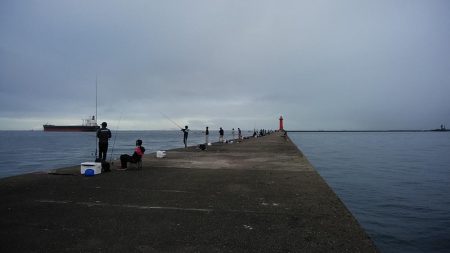 良型キスのアタリを楽しめました