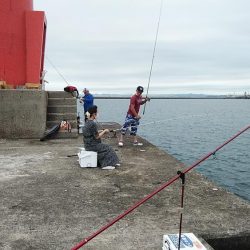 強風の播磨新島釣行