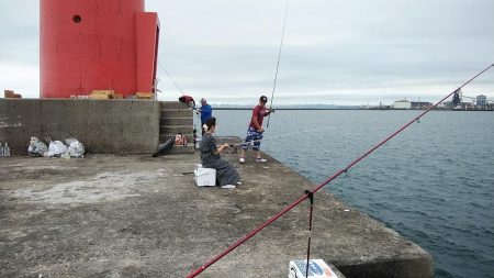 強風の播磨新島釣行