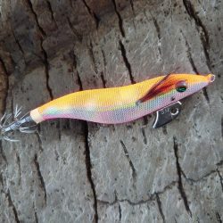 本命　ヒラマサは撃沈