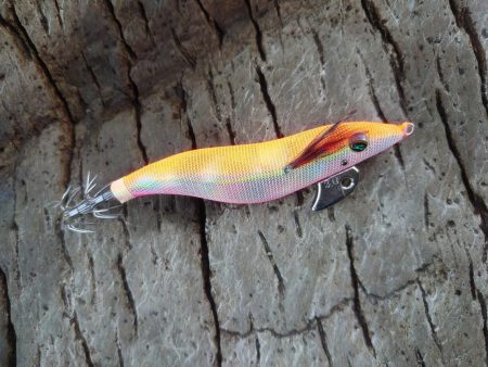 本命　ヒラマサは撃沈