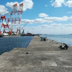 復活するか播磨新島のキス