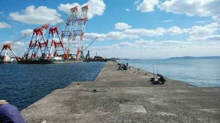 復活するか播磨新島のキス