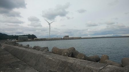 淡路の漁港４か所調査