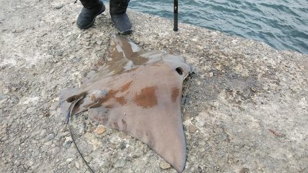 活性が下がった播磨新島のキス