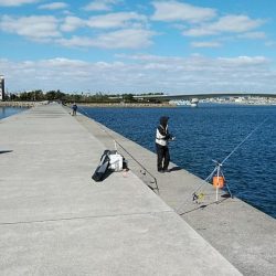 強風の東二見釣行