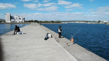 強風の東二見釣行