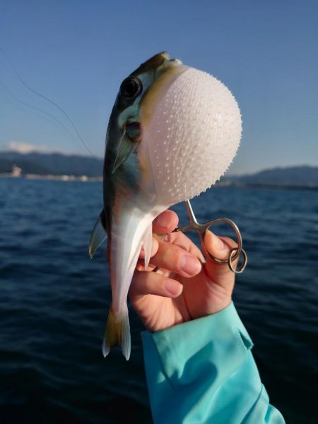 ゴムボート釣行