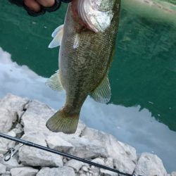 雨上がりの2時間釣行