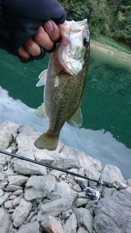雨上がりの2時間釣行