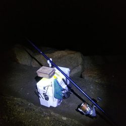 苅屋海岸のキス釣り