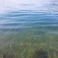 毎度です。なぶらには縁も距離も遠いです(笑)