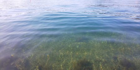 毎度です。なぶらには縁も距離も遠いです(笑)