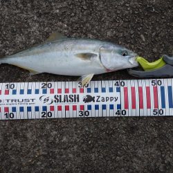 初めてといつもの