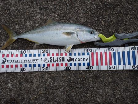 初めてといつもの