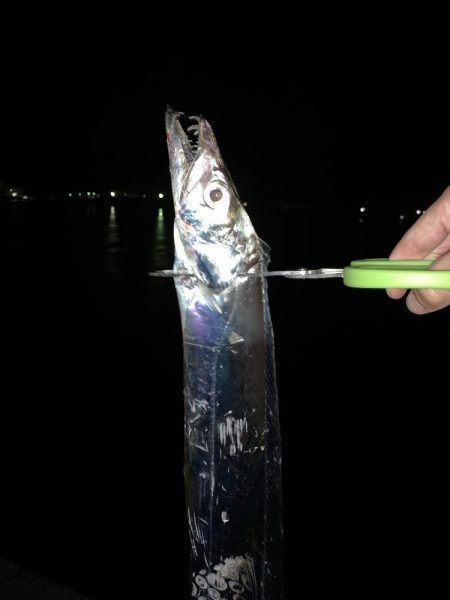 もう夜釣りは激寒です