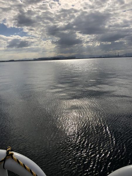 青物との縁は遠い…