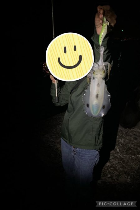 堤防エギング！