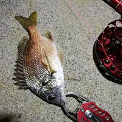 2021/10/14 南港ヘチ釣り