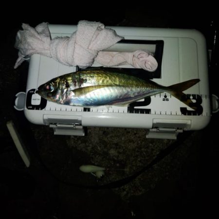 (尺アジ)フロートゲーム