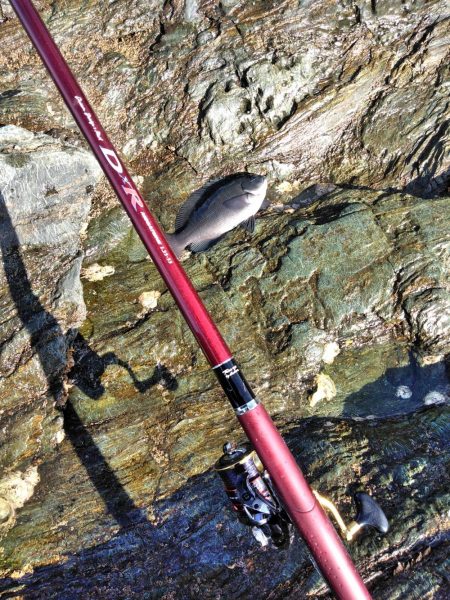 フカセ‥最高ですネ・・