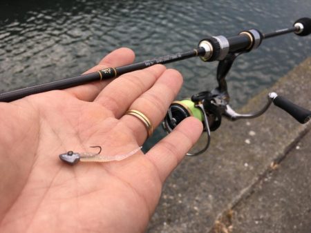 無限豆アジング