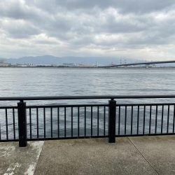 ダイソージグでULSJ!