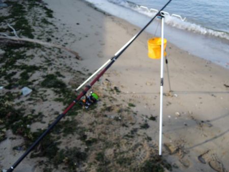 落ちギス釣り　フグの猛攻