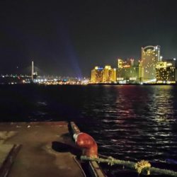 ぶらシーバス！！