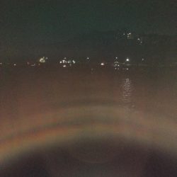 今年初の陸っぱり太刀魚