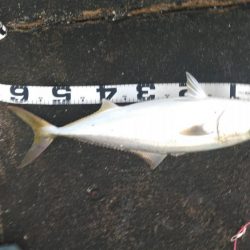 そこまででわ！