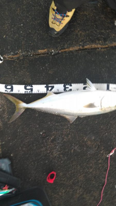 そこまででわ！