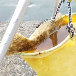 最後にドラマが