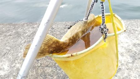 最後にドラマが