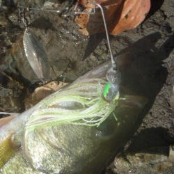 風がありました