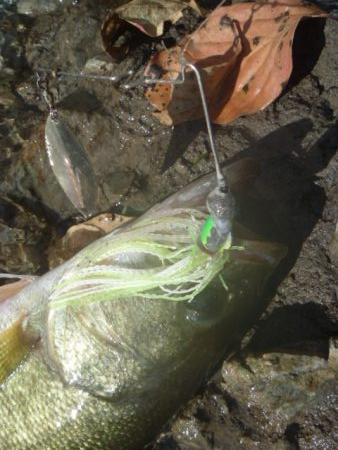 風がありました