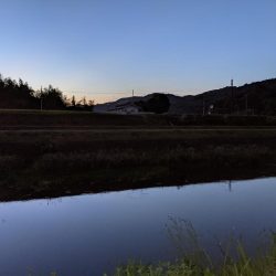 秋ナマズ…最後の最後に（泣）