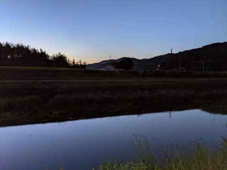 秋ナマズ…最後の最後に（泣）