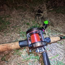 オールドタックルとナマズ