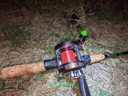 オールドタックルとナマズ