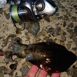 数は出てもサイズは出ず