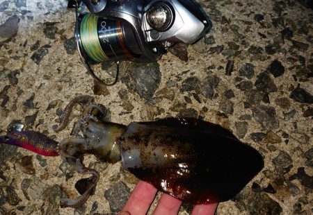 数は出てもサイズは出ず