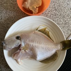 カワハギ&アオリイカ