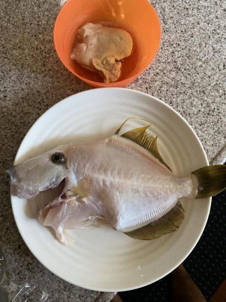 カワハギ&アオリイカ