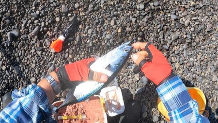 二刀流で釣る。