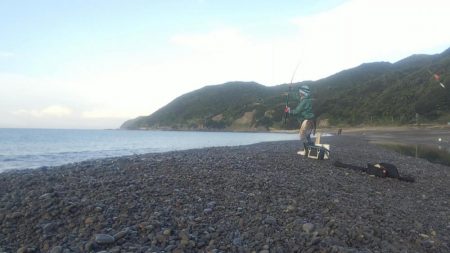 カツオ、ムラあるも順調です。