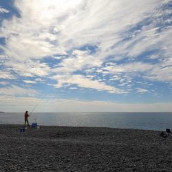 カツオがボチボチ釣れてます。