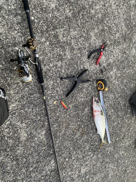 沖堤防にて大サバと今年初の鰆